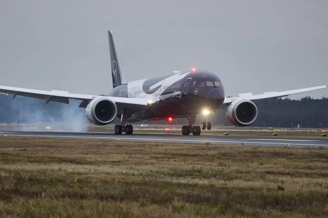 Ankunft jubiläumsflieger 100 jahre lufthansa boeing 787, d abpu