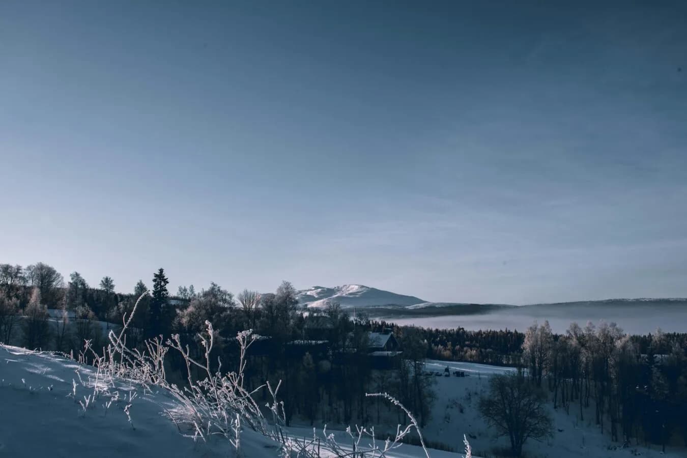 Verschneite Hügellandschaft in Schweden mit frostbedeckten Gräsern im Vordergrund, Wald, vereinzelten Häusern und Bergen unter klarem Winterhimmel