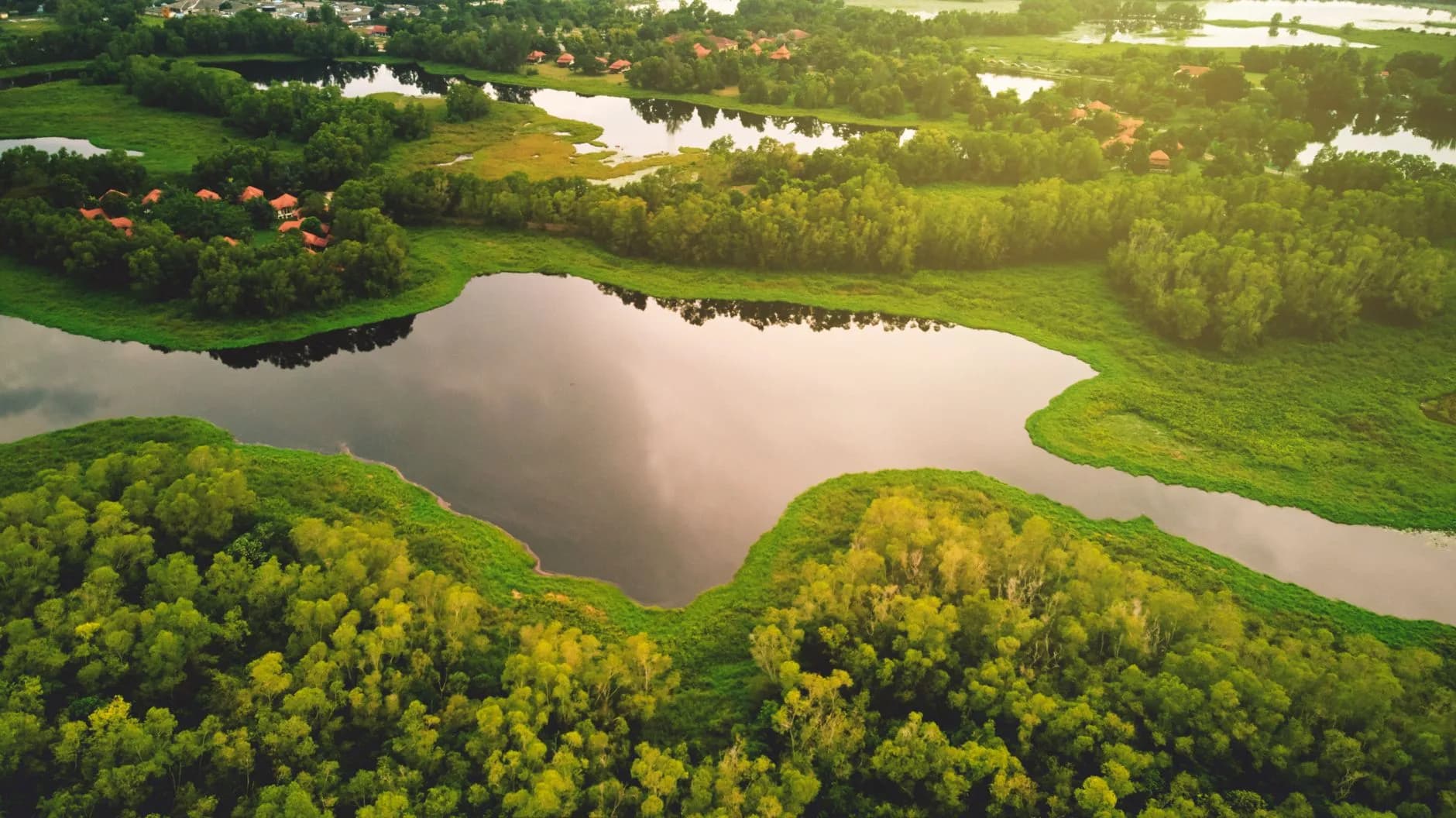 Luftaufnahme einer grünen Flusslandschaft mit sich schlängelndem Wasser und vereinzelten Dörfern zwischen dichten Baumkronen