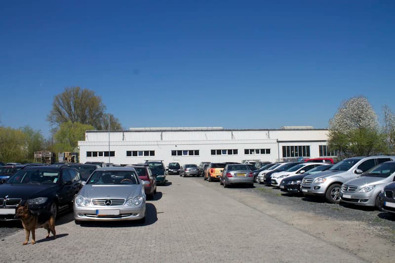 Großer Parkplatz mit Reihen geparkter Autos, weißes Hallenbauwerk im Hintergrund und ein Hund links neben den Fahrzeugen.