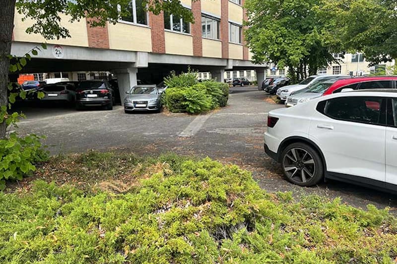 Parkfläche neben mehrstöckigem Gebäude mit geparkten Autos und Sträuchern im Vordergrund.
