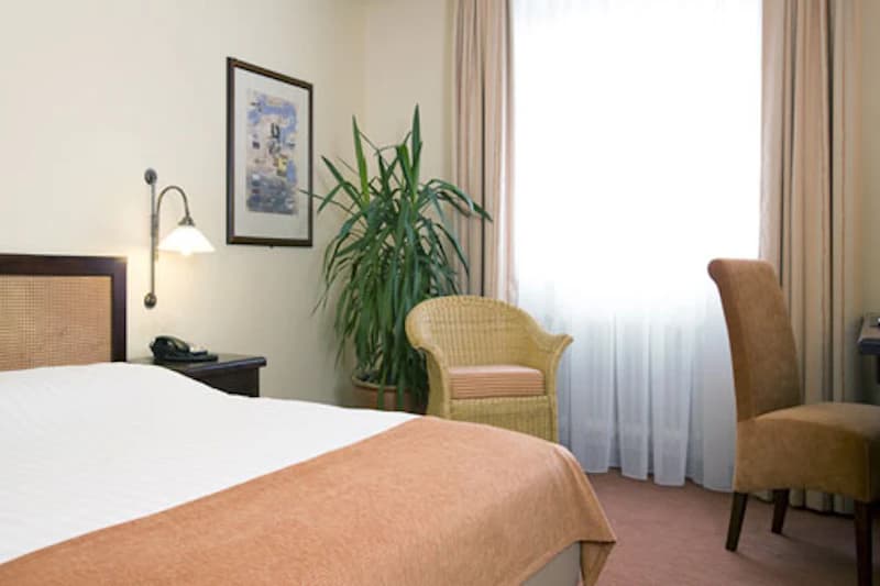 Hotelzimmer mit Doppelbett, Nachttisch und Wandlampe, Korbsessel, Topfpflanze und Fenster mit Vorhängen.