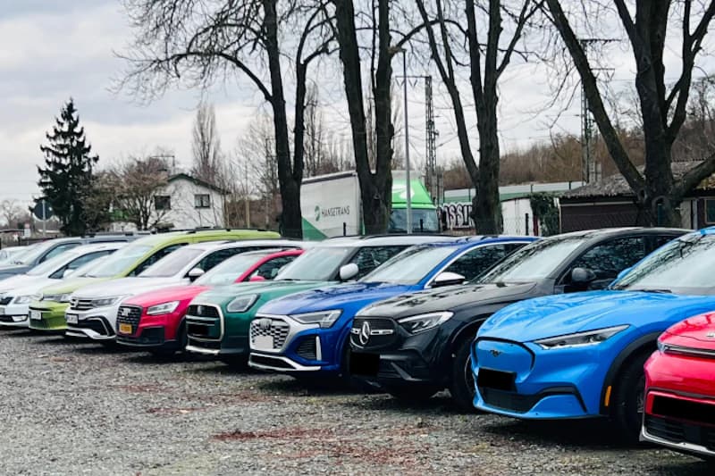 Mehrere bunte Autos in einer Reihe auf einem groben Schotterparkplatz unter kahlen Bäumen.